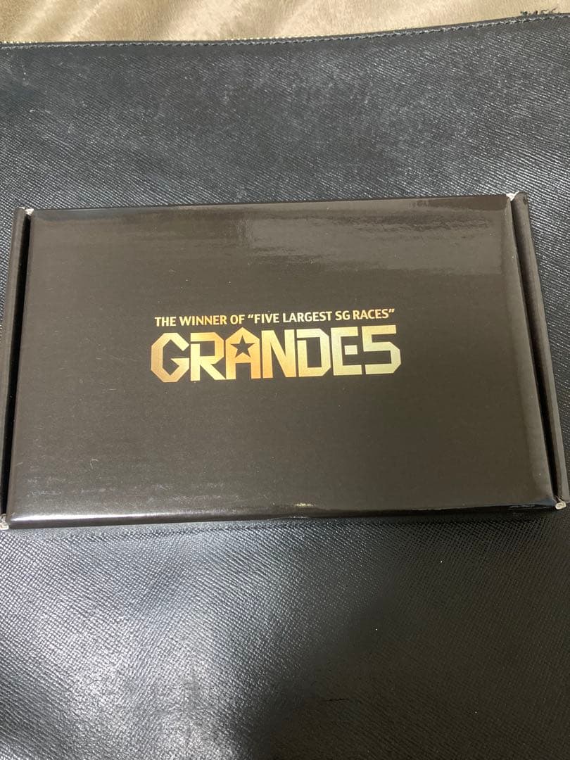 新品　未開封　GRANDES 555キャンペーン 純金カード　競艇