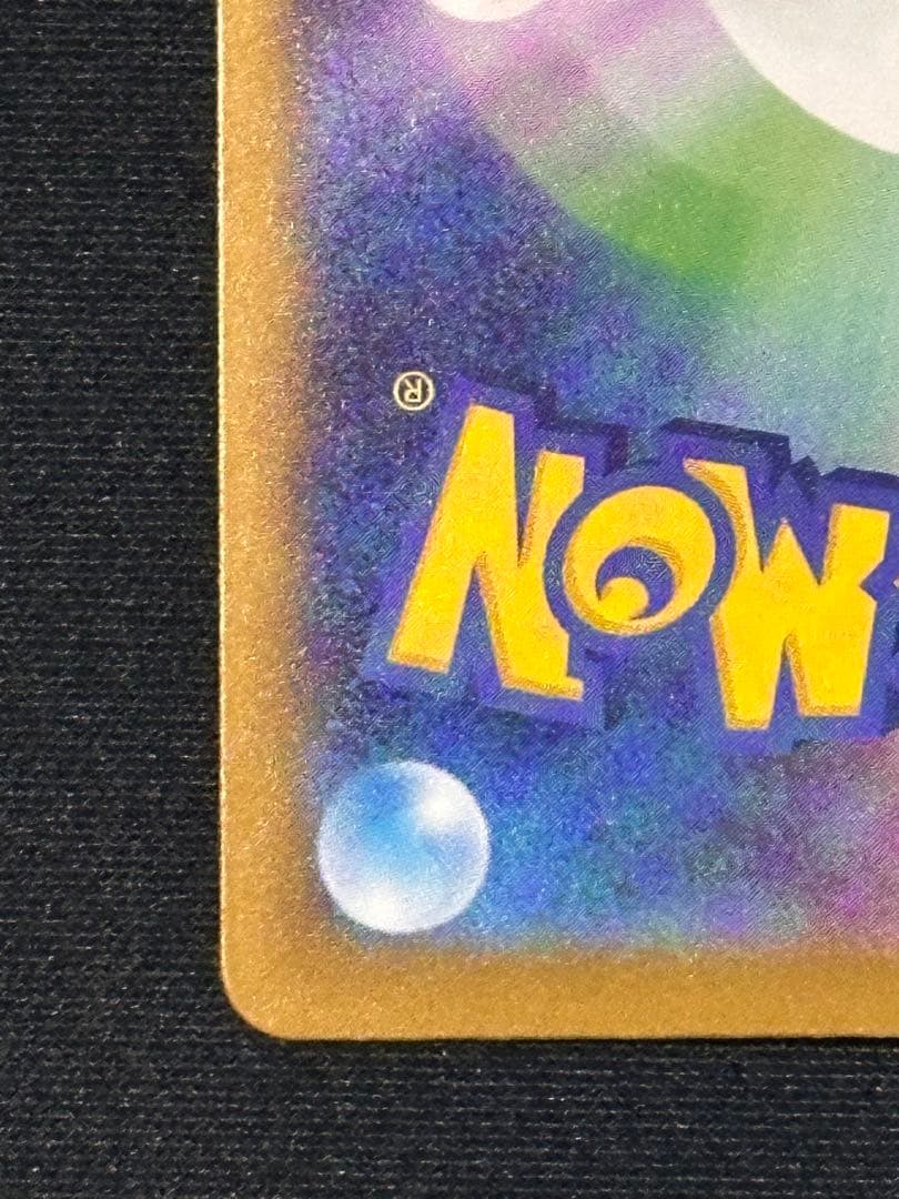 瓜*門様 メガカイリューex MUR