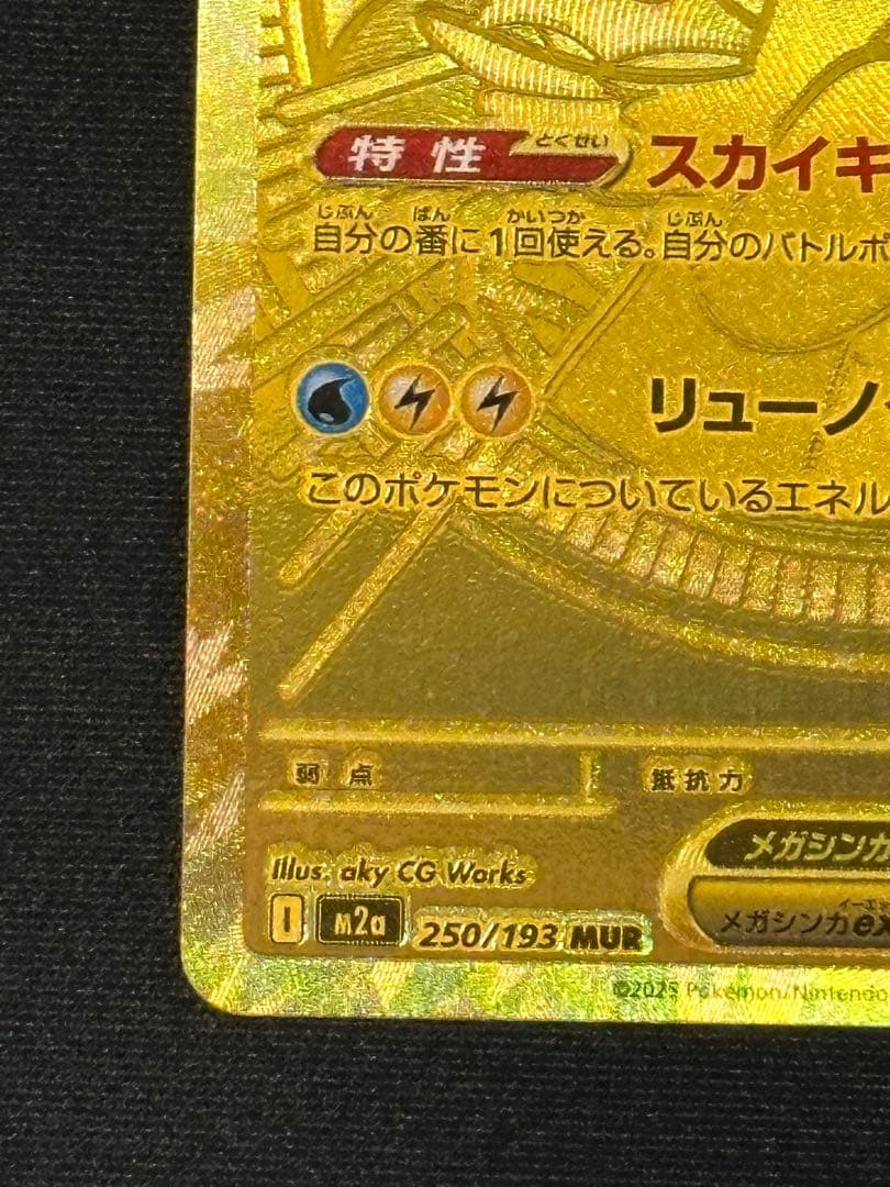 瓜*門様 メガカイリューex MUR