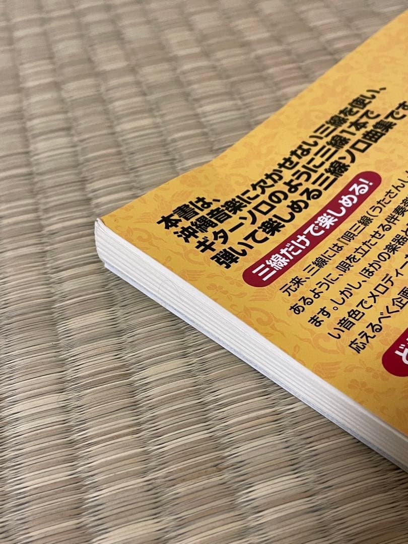 【みっこ】三味線本体 蛇皮 網目模様 セミハードケース、スタンド、付属品