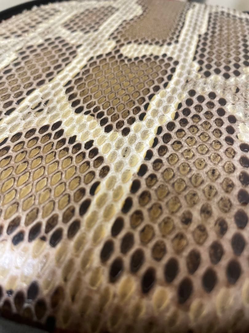 【みっこ】三味線本体 蛇皮 網目模様 セミハードケース、スタンド、付属品