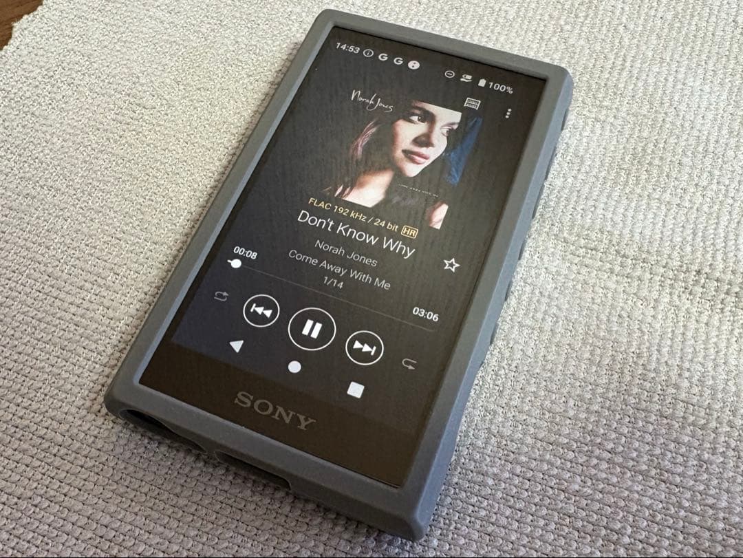 SONY ウォークマン NW-A306 デジタルオーディオプレーヤー　ケース付き