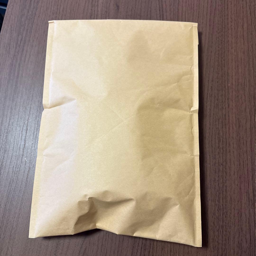 SONY ウォークマン NW-A306 デジタルオーディオプレーヤー　ケース付き