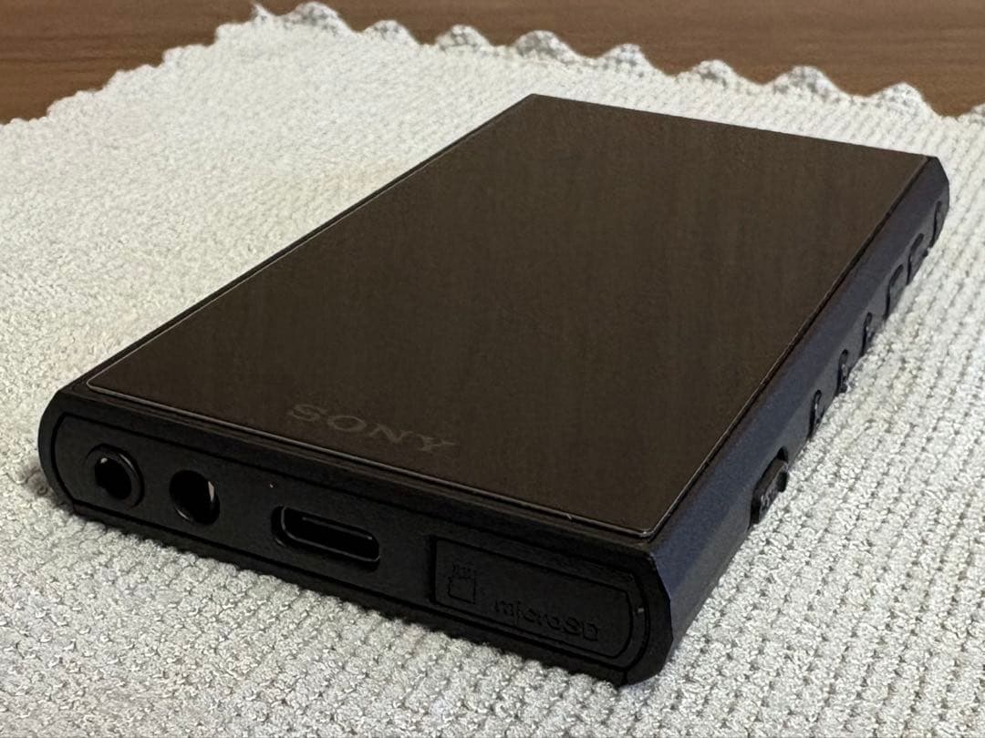 SONY ウォークマン NW-A306 デジタルオーディオプレーヤー　ケース付き