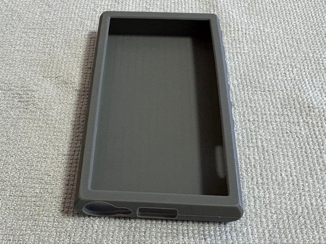 SONY ウォークマン NW-A306 デジタルオーディオプレーヤー　ケース付き