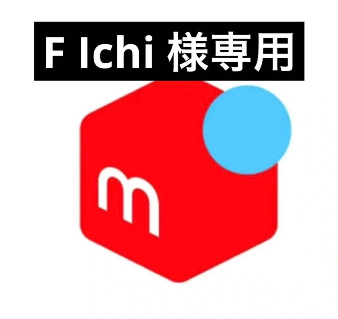 その他 F Ichi