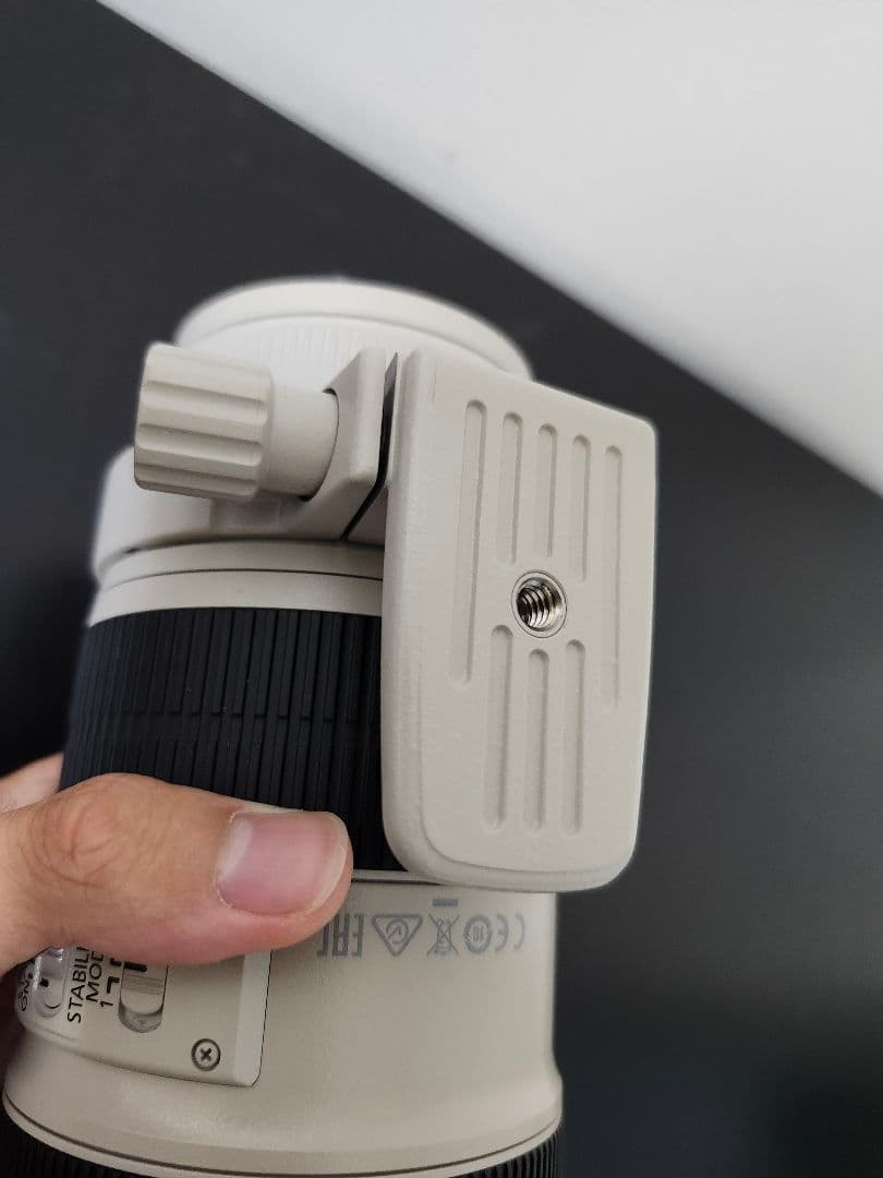 canon ef70 200mm f2.8 l is ⅱ usm