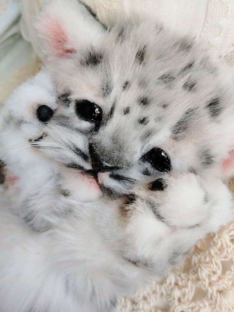 ユキヒョウベビー♡赤ちゃん♡アートドール♡ぬいぐるみ♡