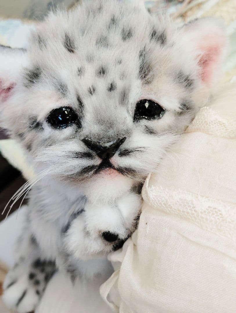 ユキヒョウベビー♡赤ちゃん♡アートドール♡ぬいぐるみ♡