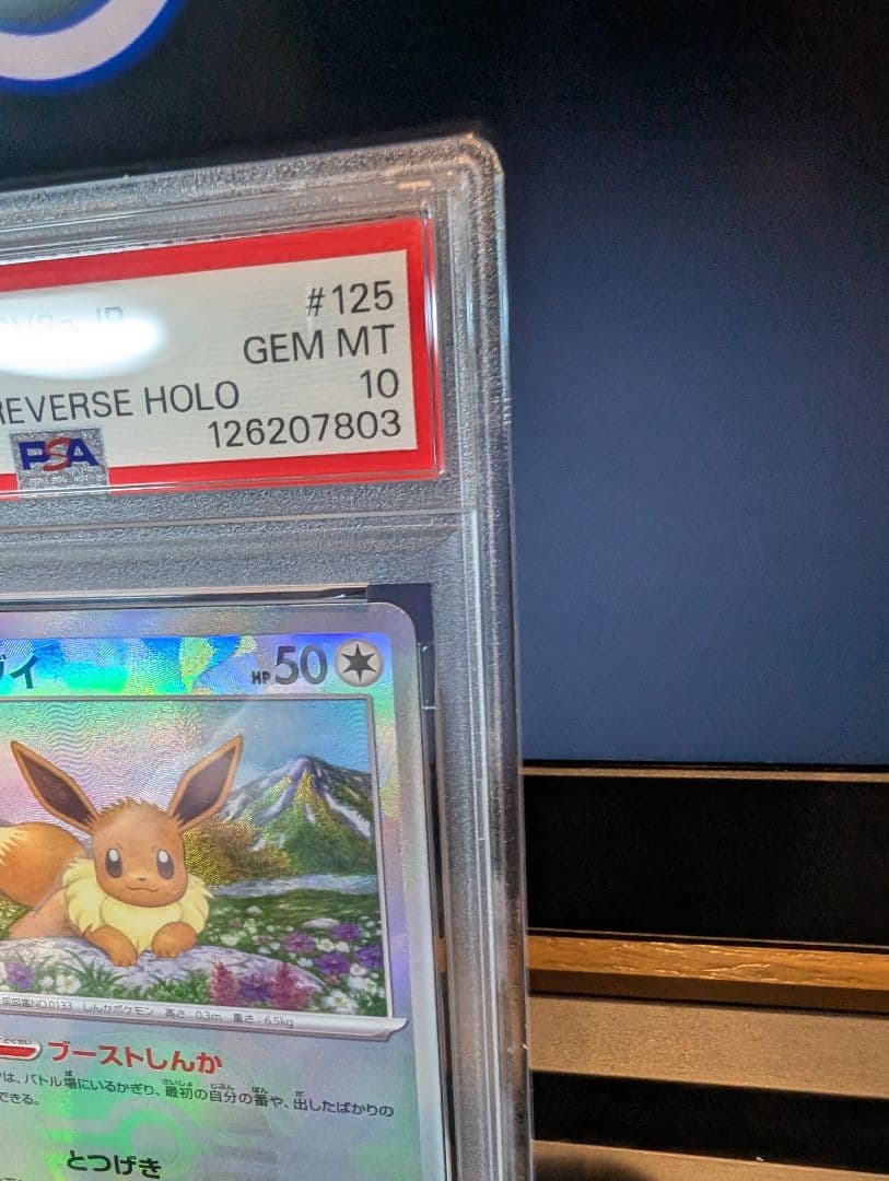 イーブイ マスターボールミラー PSA10