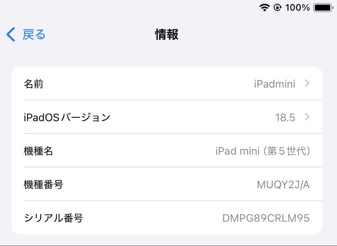 iPad mini 5 64GB Wi-Fiモデル ゴールド