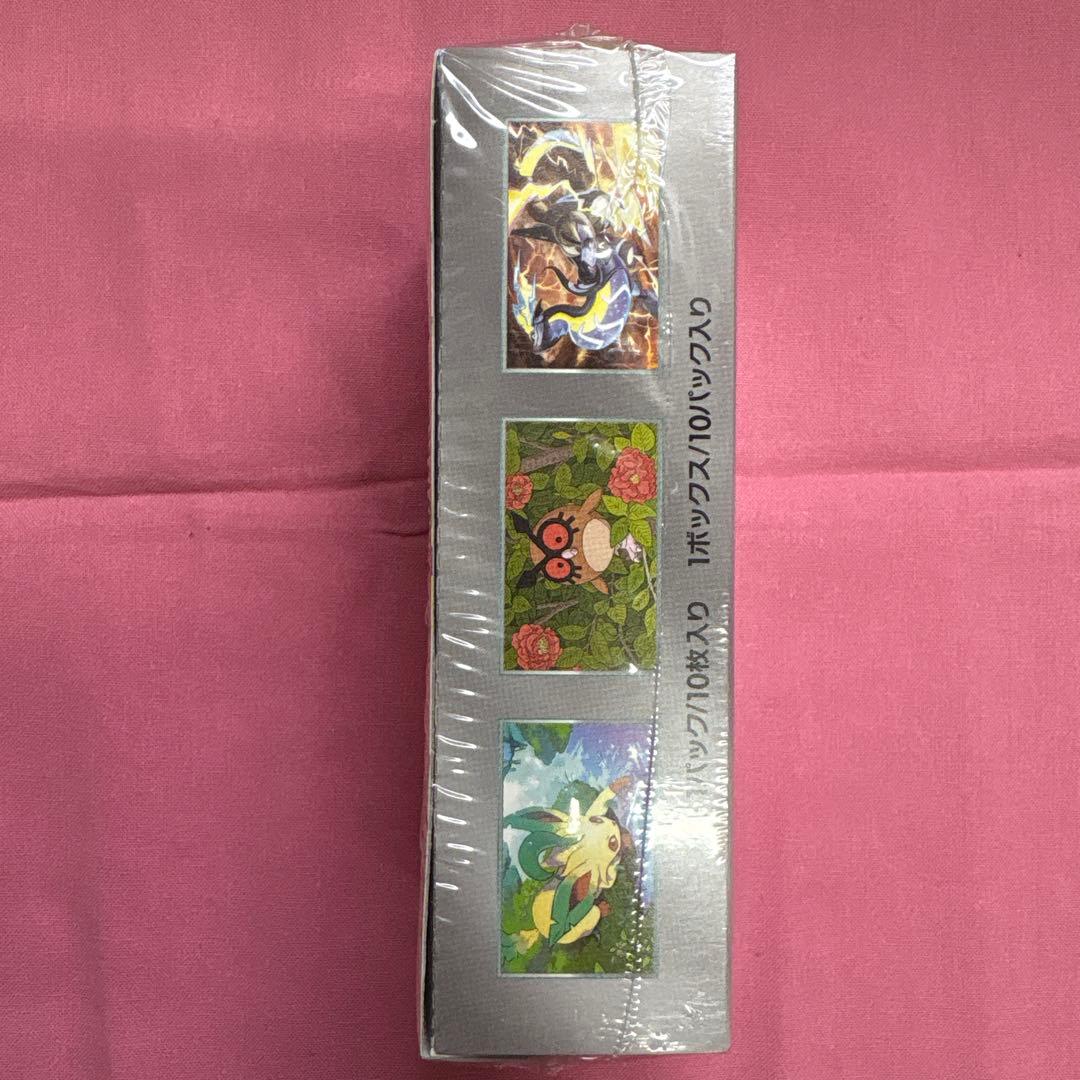 テラスタルフェス　Box