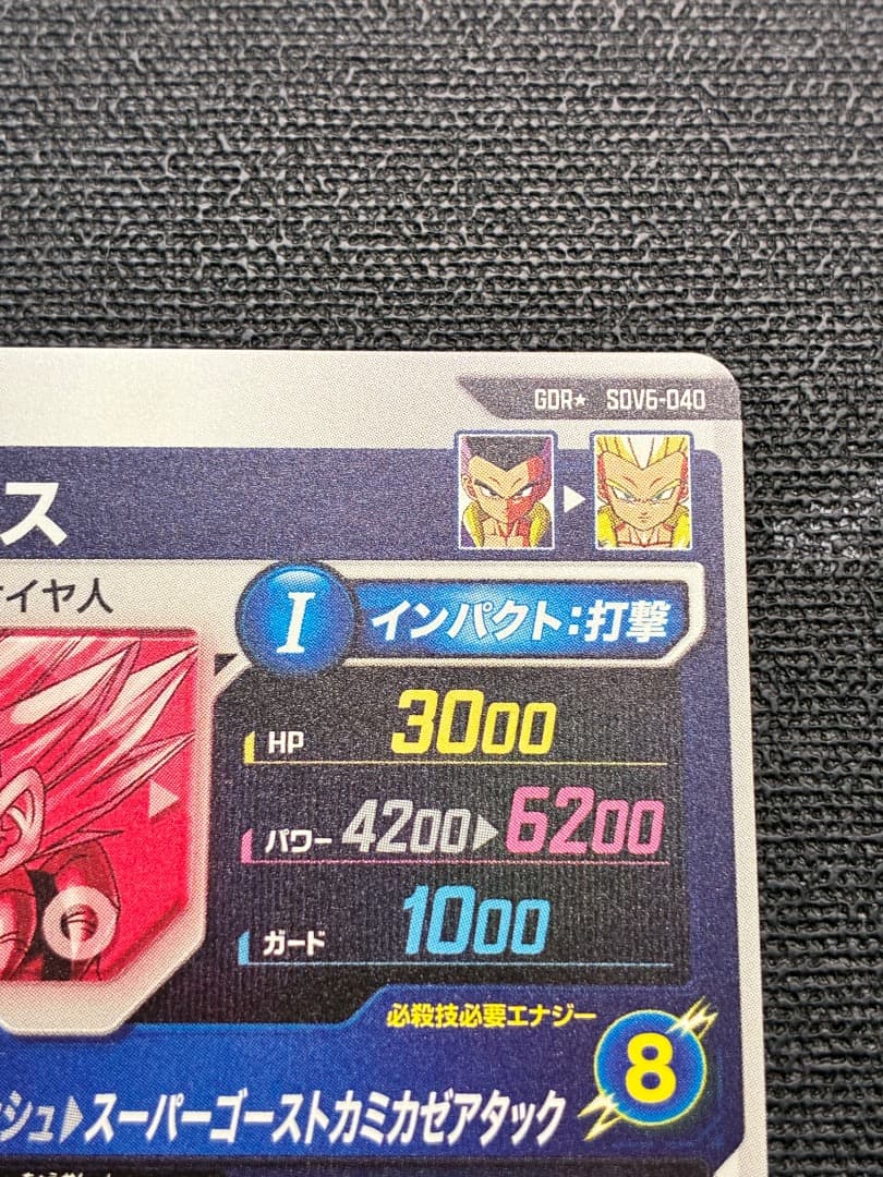 ゴリラの子孫出品