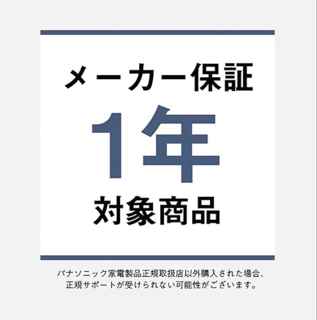 Technics EAH-AZ100 ワイヤレスイヤフォン