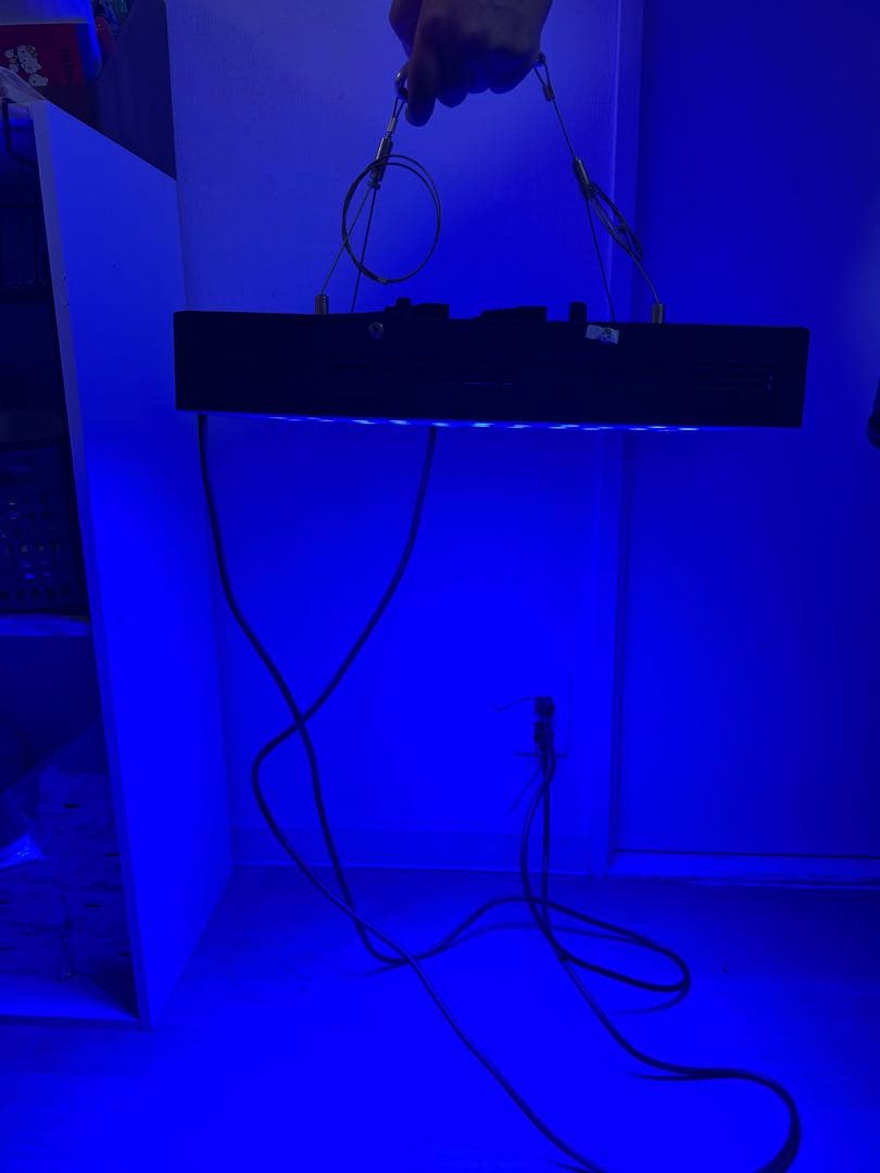 LEDサンゴ育成ライト 55個搭載