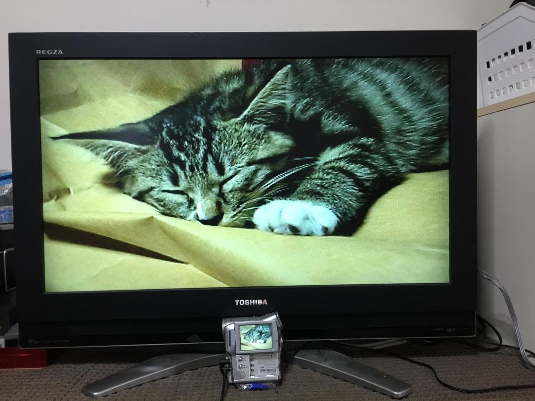 撮影再生ダビングOK　Canon　DM-IXY　DV　M3　付属品あり　液晶綺麗