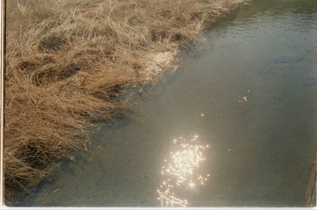 Canon L2 jupiter8 セット