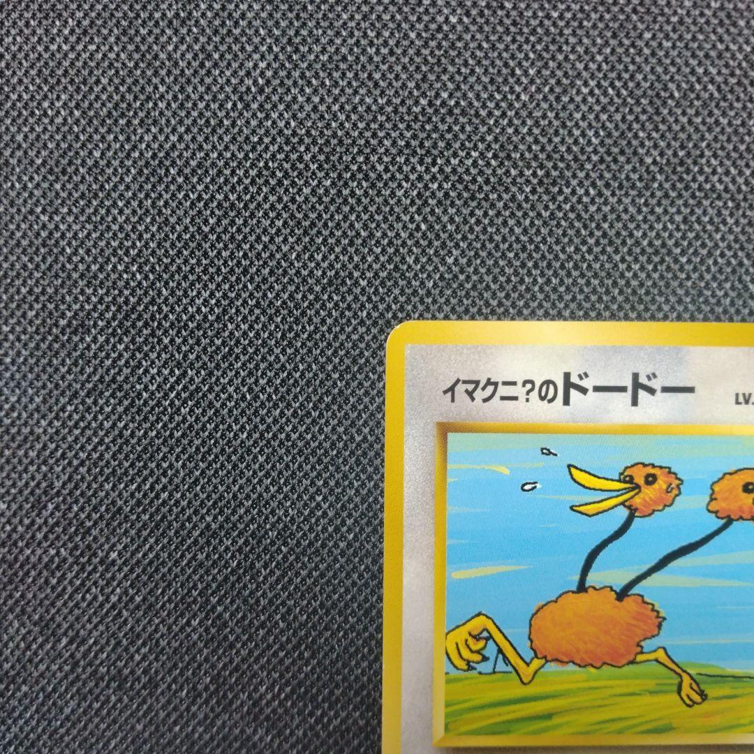 ポケモンカード 旧裏 イマクニのドードー