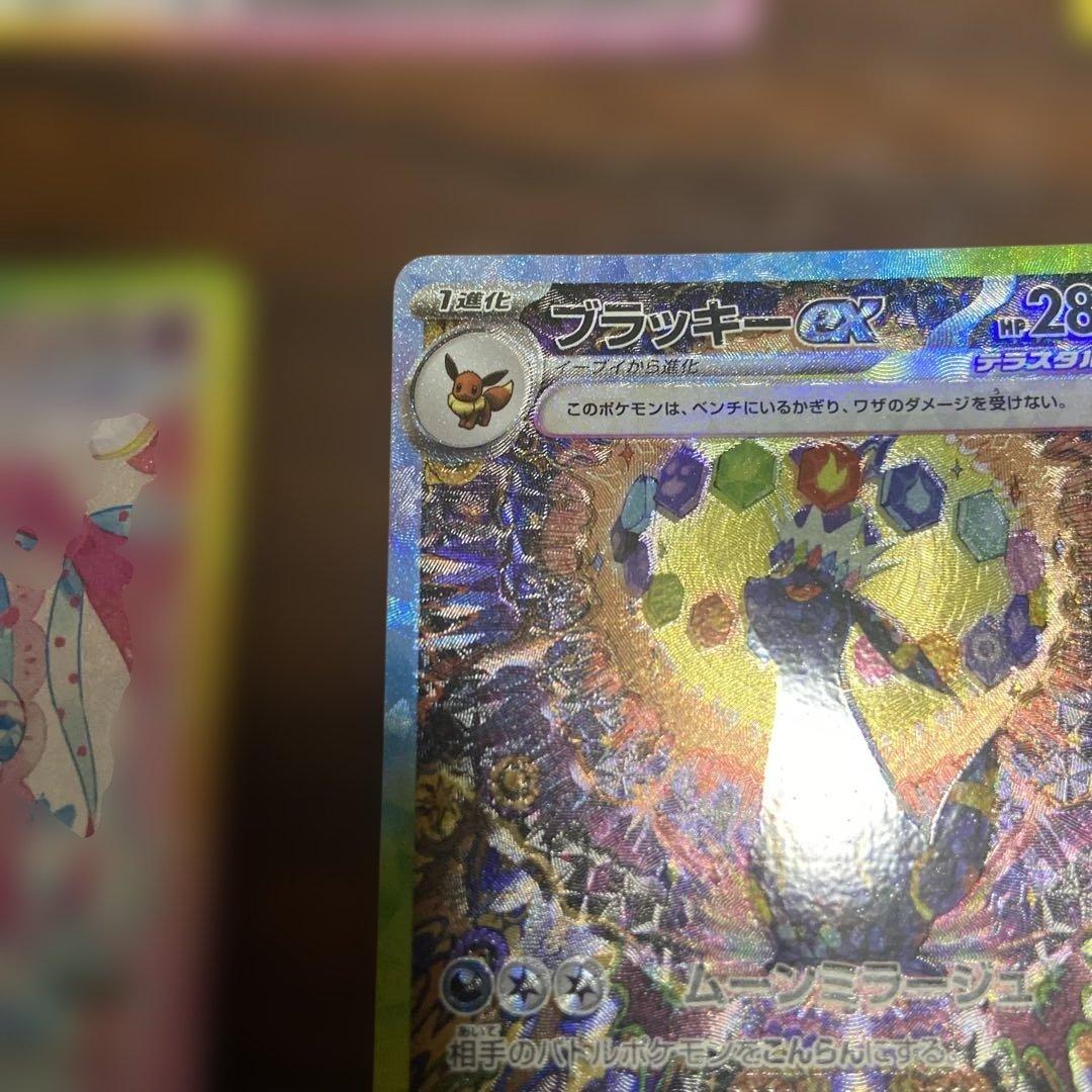 テラスタルフェスex ブイズ sar 10種類 コンプ