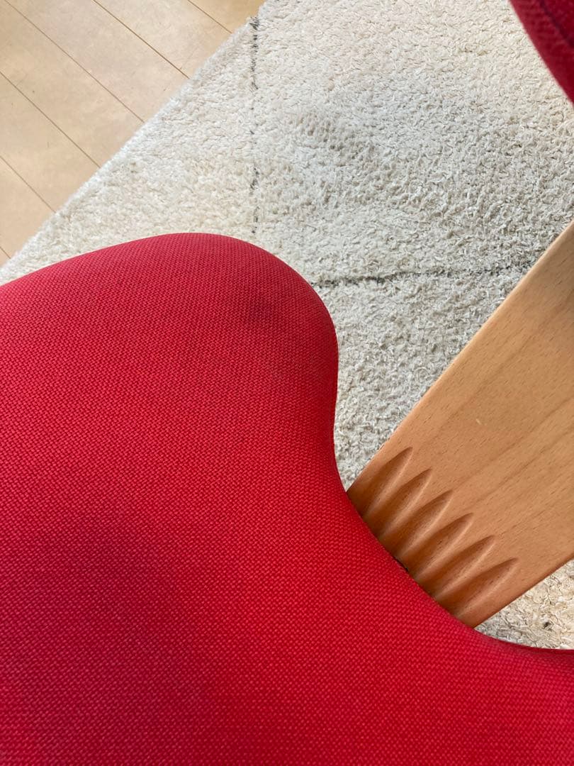 バランス イージー　【専用カバー付き】　バランスラボ　赤　サカモトハウス