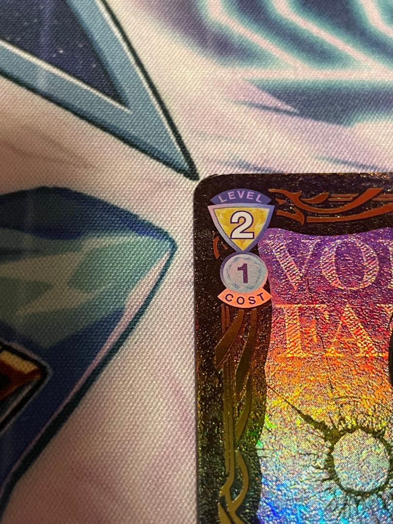 ボンゴレの雲　雲雀　恭弥　ひばりきょうや