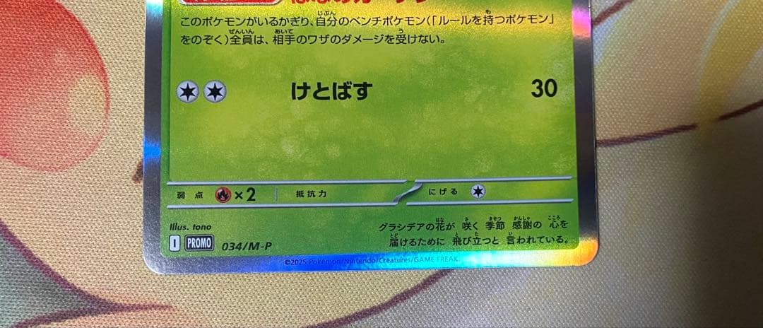 ロケット団のミュウツーex シェイミ　セット　CL2026 プロモ