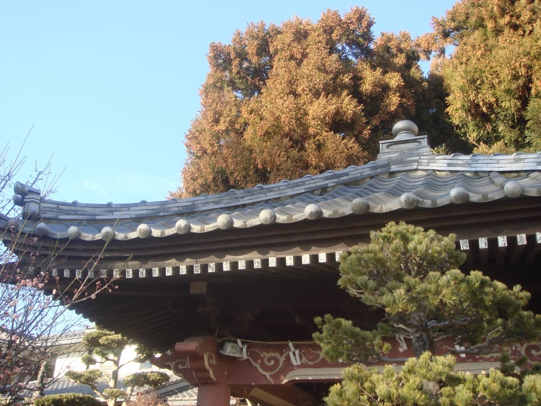 実写美⭕️良品【動作確認済】SONY Cyber-shot DSC-T10