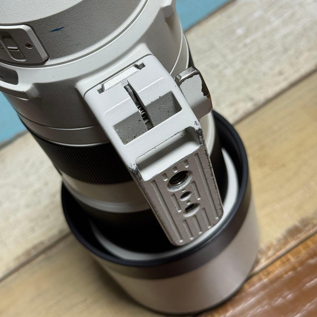 【SIMピン】Sony FE 200-600mm F5.6-6.3 G