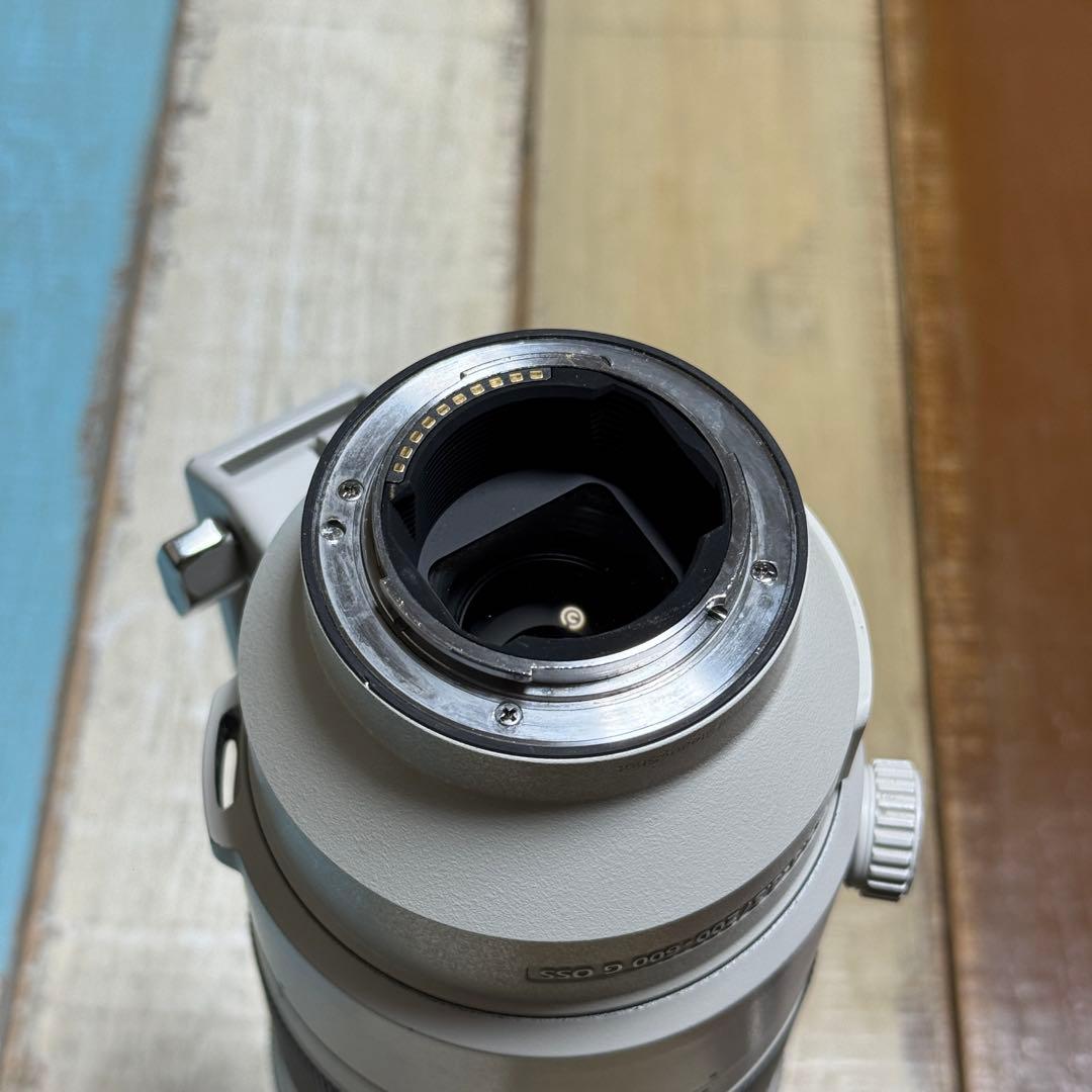 【SIMピン】Sony FE 200-600mm F5.6-6.3 G