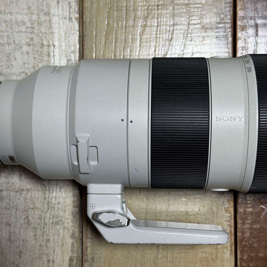 【SIMピン】Sony FE 200-600mm F5.6-6.3 G