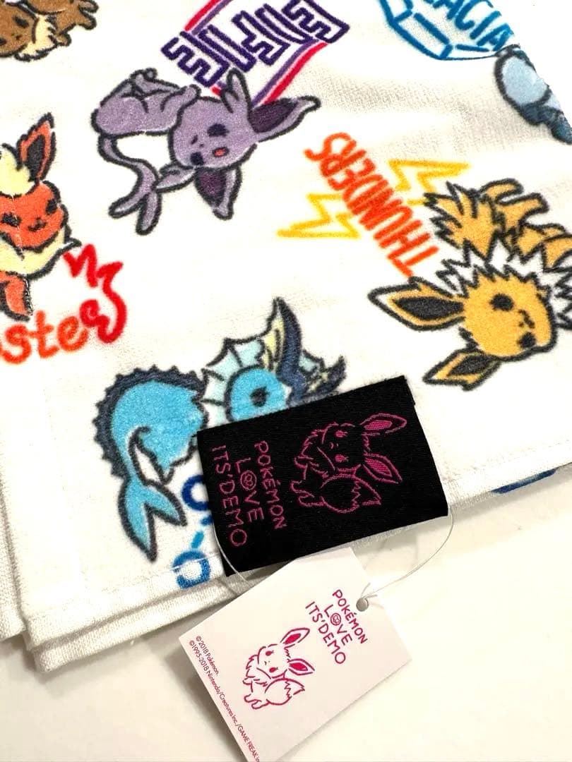 イッツデモ　ポケモン　ブイズ　フェスタオル　ハンドタオル　2点セット
