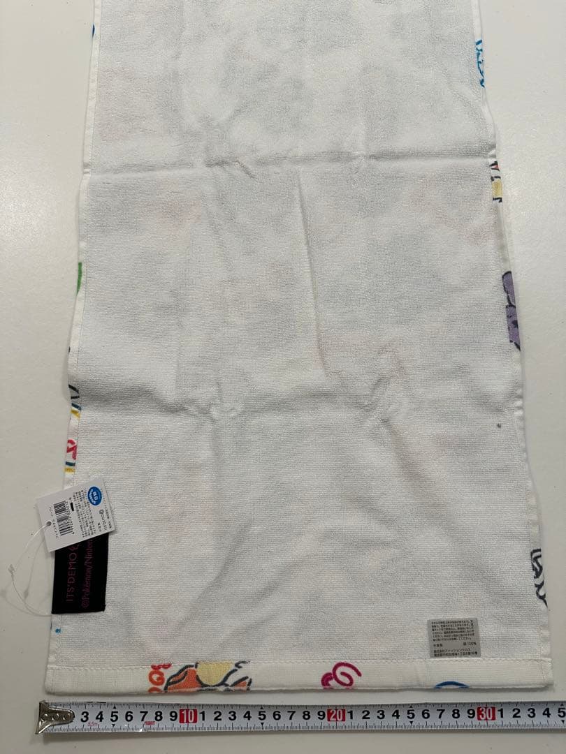 イッツデモ　ポケモン　ブイズ　フェスタオル　ハンドタオル　2点セット