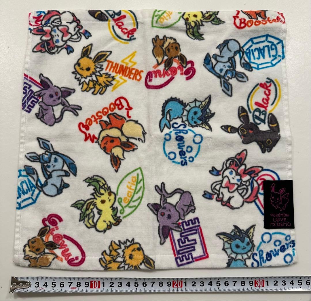 イッツデモ　ポケモン　ブイズ　フェスタオル　ハンドタオル　2点セット