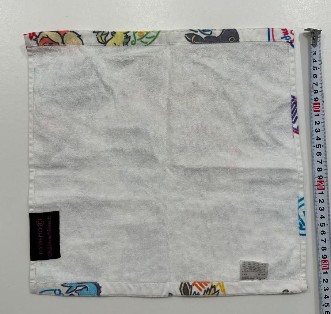 イッツデモ　ポケモン　ブイズ　フェスタオル　ハンドタオル　2点セット