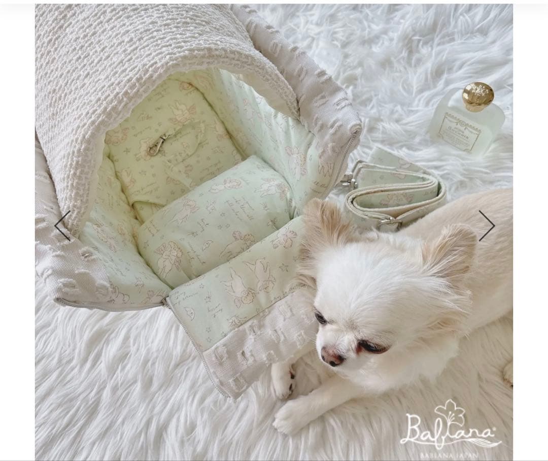 コ*ロ様 BABIANAキャリーバッグ　韓国　犬