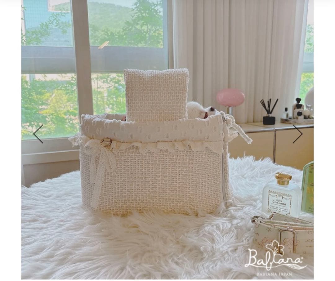 コ*ロ様 BABIANAキャリーバッグ　韓国　犬