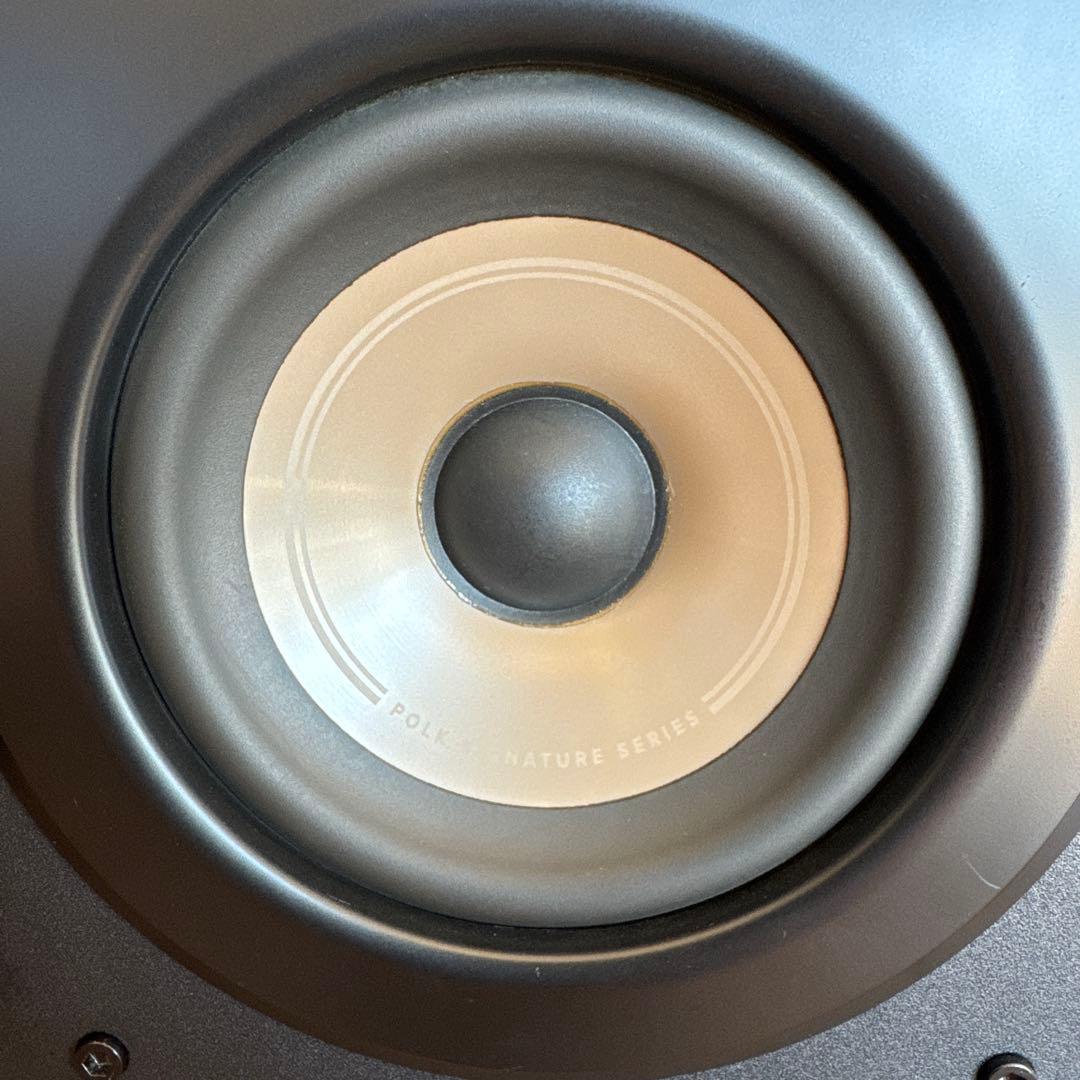 ポークオーディオ　POLK AUDIO SIGNATURE ELITE ES15
