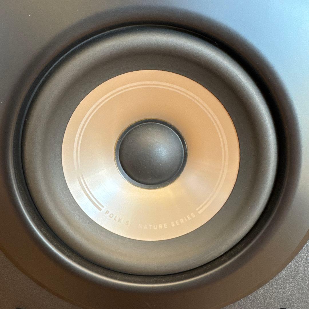 ポークオーディオ　POLK AUDIO SIGNATURE ELITE ES15