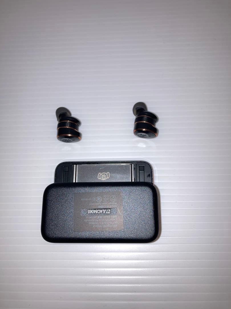 AVIOT TE-BD21j-pnk ピエール中野Special Edition