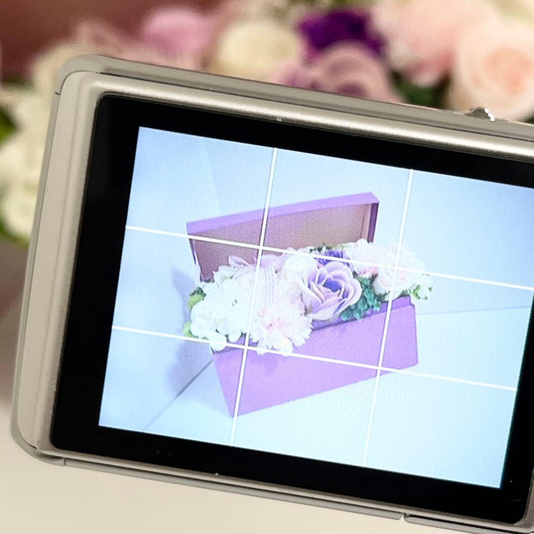 デジタルカメラ Panasonic LUMIX DMC-FX01