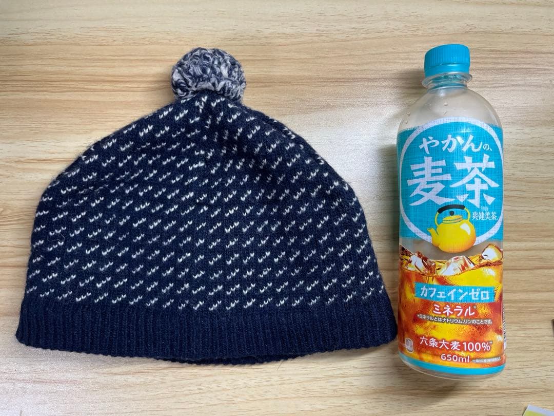 【激レア】L.L.Bean エルエルビーン バーズアイ ニット帽 ラムズウール混