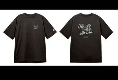 石川祐希選手 DESCENTEコラボ 半袖Ｔシャツ Ｌサイズ　１枚