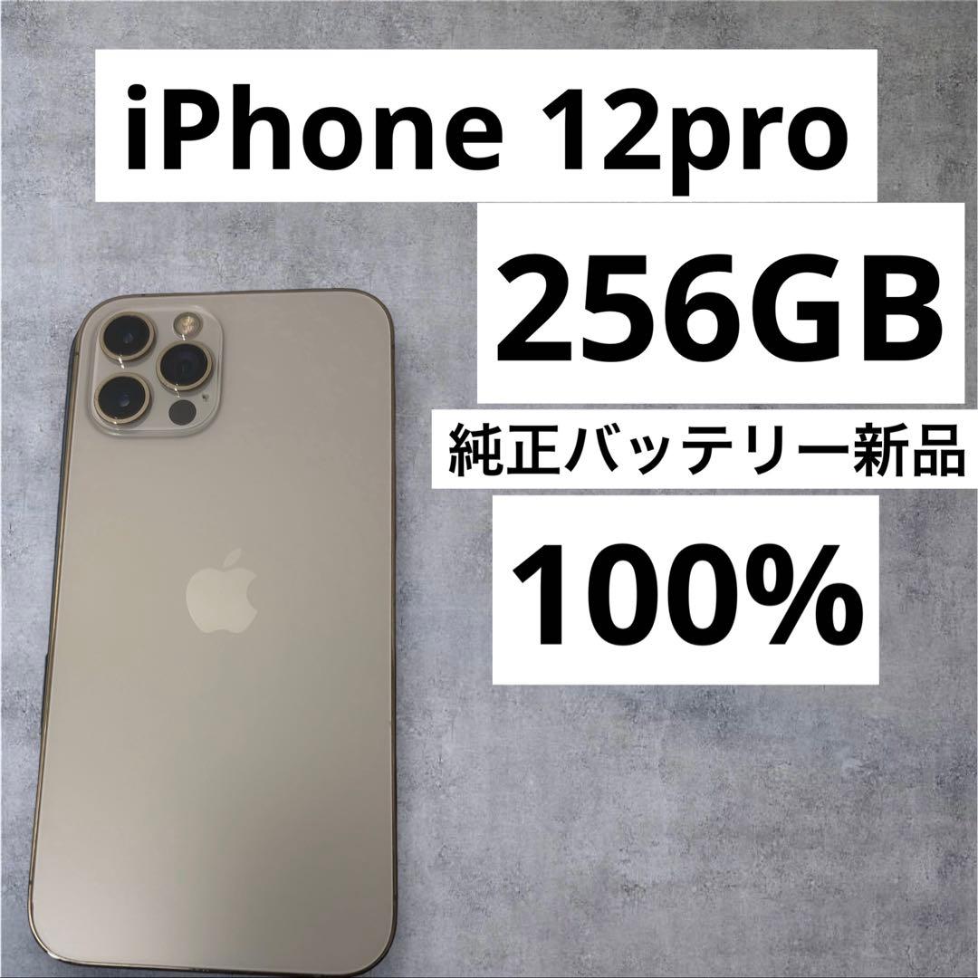 訳あり　早い者勝ち　[SIMフリー] iPhone 12pro 256GB