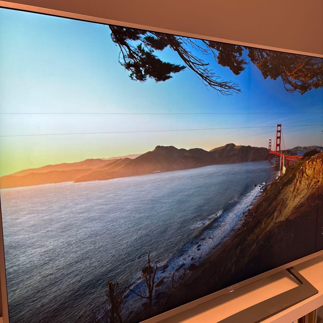 SONY 液晶テレビ49型 本体　KJ-49X8300D