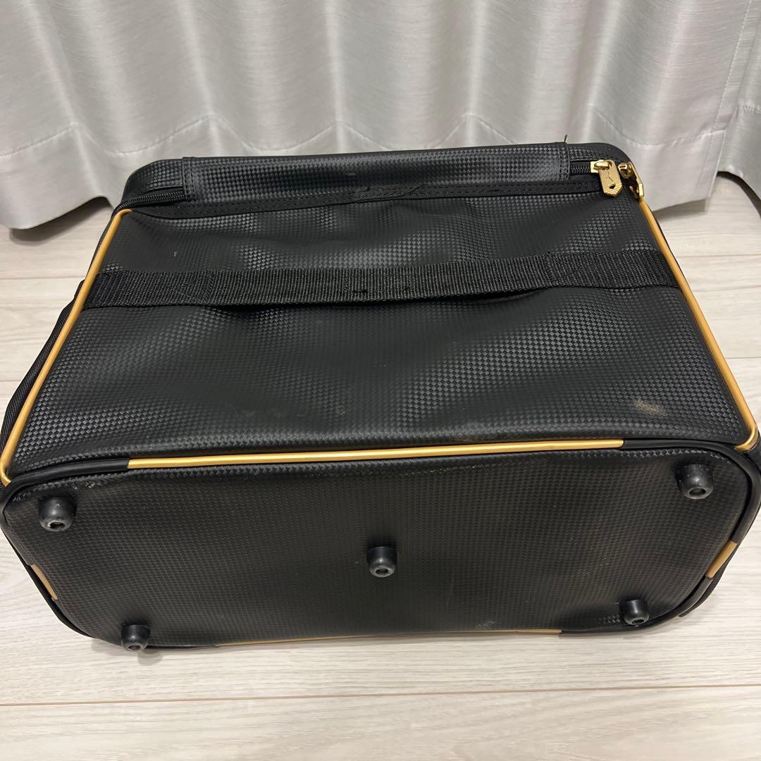 ミズノプロ　グラブケース