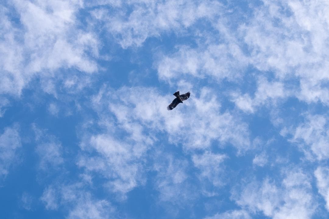 【黒死病対策】PENTAX K-S1 黒 純正標準レンズセット