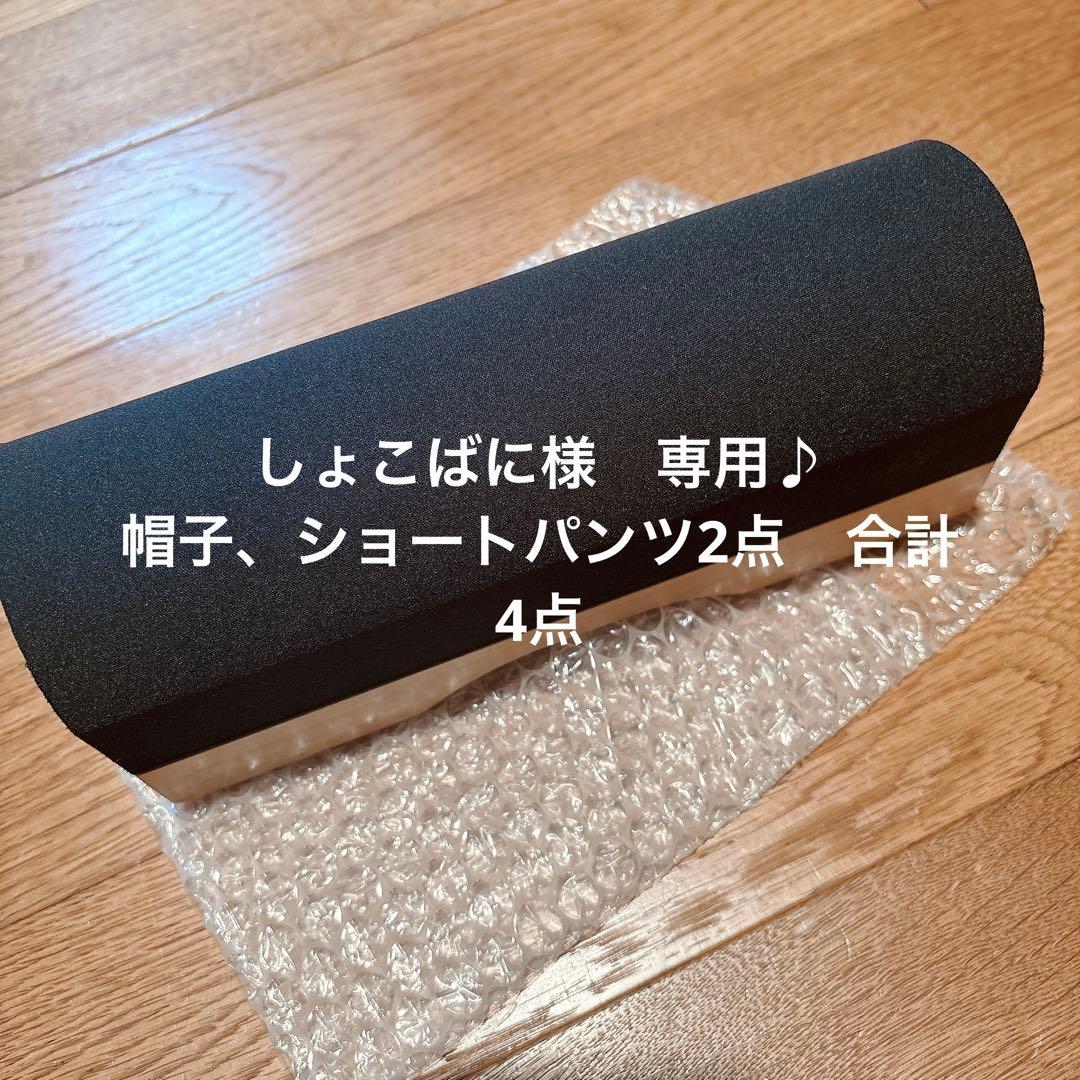 テラボルスターその他