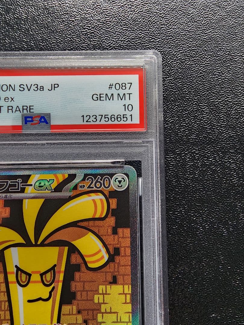 サーフゴーex SAR PSA10