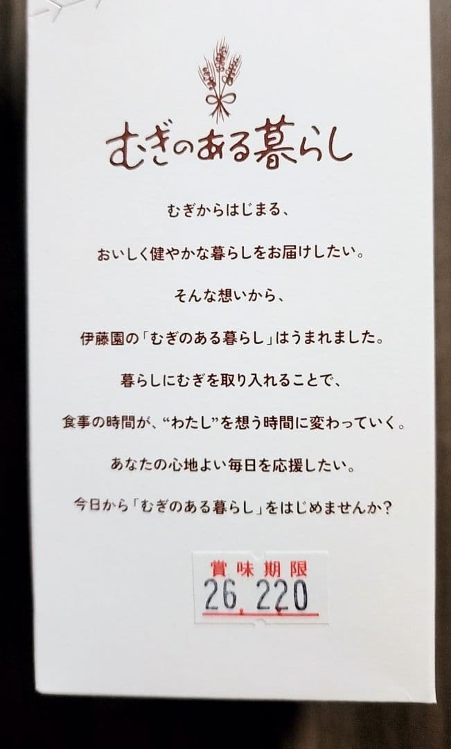伊藤園 むぎマグ 1人用麦飯炊飯器 麦7食分付き MUGIMUG　STICK