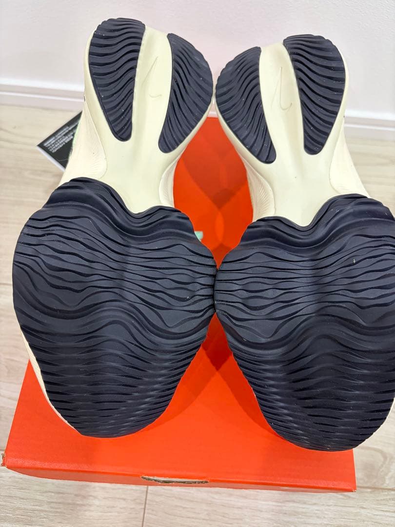 スパイク・シューズ Nike Air Zoom Tempo Next% FK 25cm